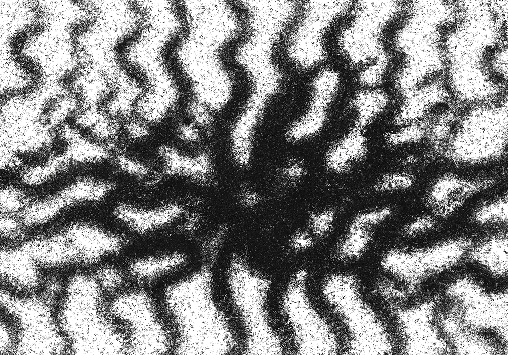 Where do we go from here?